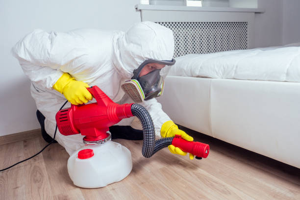 Best Affordable Pest Control Services  in Half Moon Bay, CA