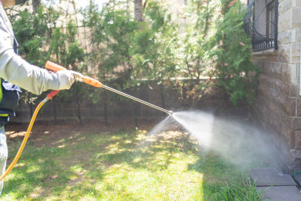 Best Pest Control Near Me  in Half Moon Bay, CA