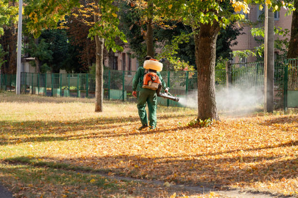 Best Termite Control Services  in Half Moon Bay, CA