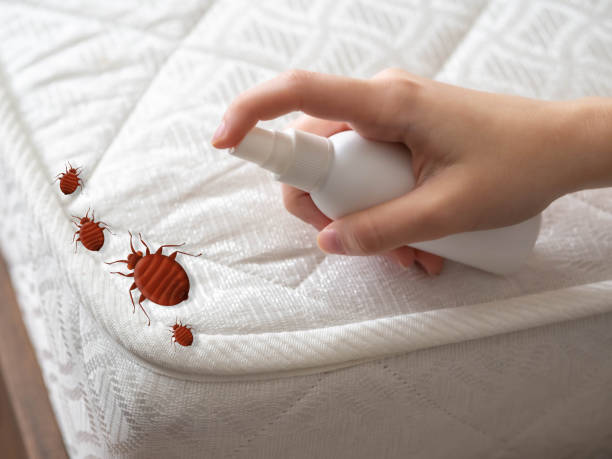 Best Cockroach Control Services  in Half Moon Bay, CA