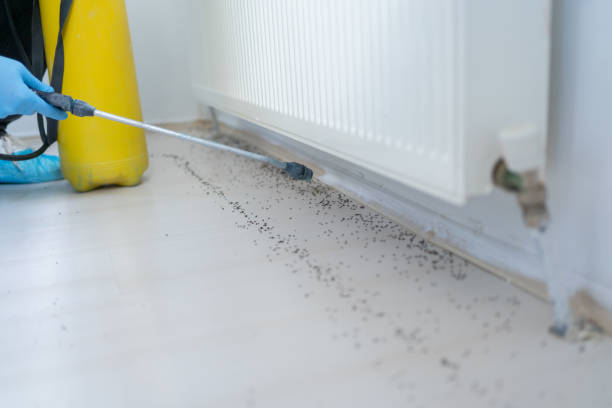 Best Best Pest Control Companies  in Half Moon Bay, CA